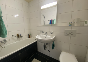 Charmant appartement de 1.5 pièce - Publoz 15