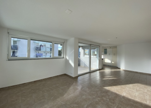 Appartement de 4.5 pièces au rez-de-chaussée avec terrasse - Cabinet 3