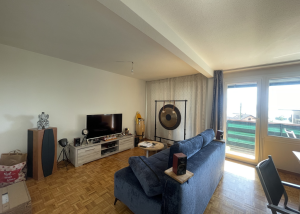 Joli 3 pièces avec balcon - Brent 31