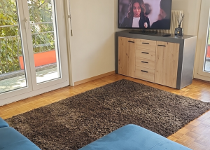 Logement de 4 pièces au coeur de Lavaux - Pra 45