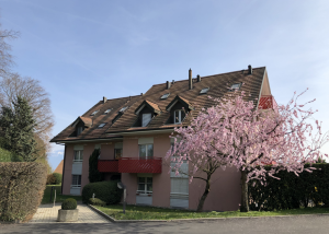 À louer  Charmant appartement 3 pièces à Tolochenaz