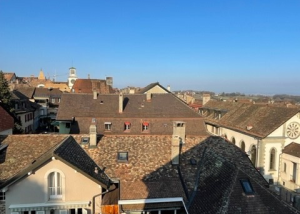 À louer Charmant 3.5 pièces sous les combles à Aubonne