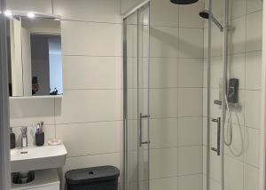 Appartement de 1.5 pièces au Sentier