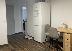 Appartement de 1.5 pièces au Sentier