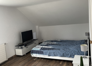Appartement de 1.5 pièces au Sentier