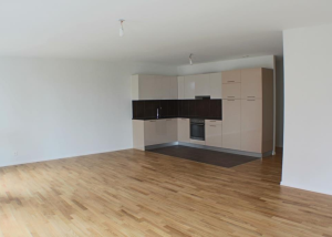 Appartement de 3.5 pièces au coeur de l'écoquartier Eikenott