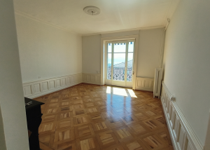 Magnifique appartement avec vue sur le lac