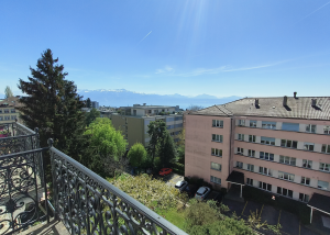 Magnifique appartement avec vue sur le lac