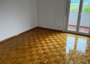 Charmant 3.5 pièces