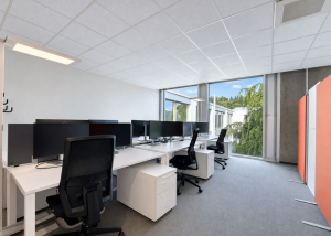Grande surface de bureaux moderne et modulable