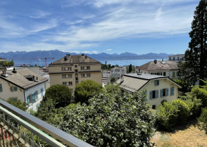 Magnifique 2.5 pièce au 1er étage, vue sur le lac, situé à Lausanne
