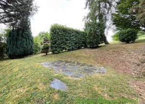 2.5 pièces avec terrasse - Chamby 8