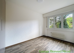 2.5 pièces avec terrasse - Chamby 8