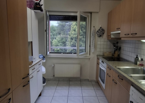 Appartement de 2 pièces à louer à Penthaz !