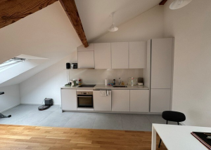 Magnifique loft idéalement situé