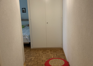 1 pièce avec jardin à Pully !