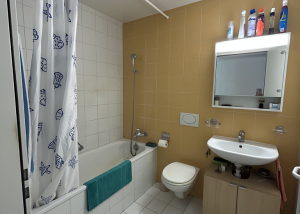 Appartement 2.5 pièces à Renens