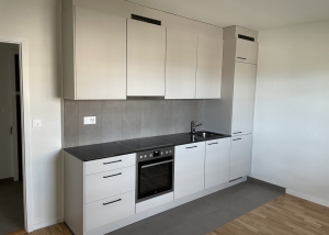 Bel à appartement rénové de 2 pièces au centre-ville de Prilly