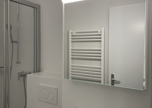 Bel à appartement rénové de 2 pièces au centre-ville de Prilly