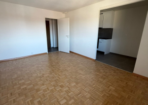 Spacieux 1 pièce entièrement rénové