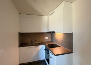 Spacieux 1 pièce entièrement rénové