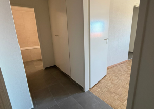 Spacieux 1 pièce entièrement rénové