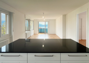 NEUF! Magnifique 4.5 pièces d'exception avec vue sur le lac