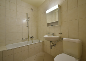 Appartement de 3 pièces au 1er étage d'un immeuble de village