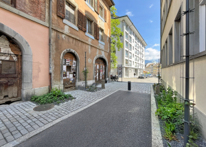 Dépôt/stockage spacieux au centre de Vevey - Collège 8