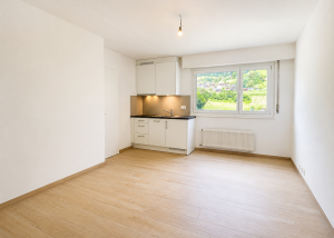 Studio sans balcon en cours de rénovation - Arvel 18