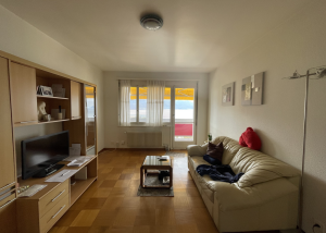 2 pièces avec vue en cours de rénovation - Collonge 18