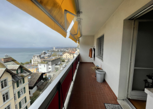 2 pièces avec vue en cours de rénovation - Collonge 18