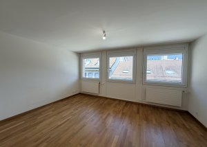 1 pièce moderne de 28 m2 - Simplon 45B