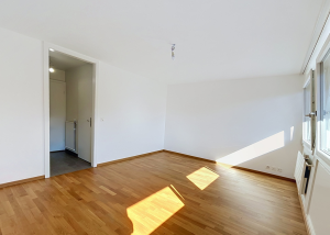 1 pièce moderne de 28 m2 - Simplon 45B