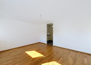 1 pièce moderne de 28 m2 - Simplon 45B