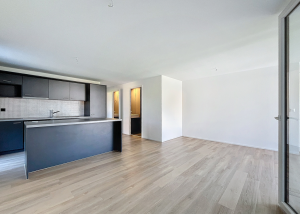 3.5 pièces avec grand balcon - Aigle 21