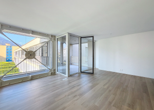 3.5 pièces avec grand balcon - Aigle 21