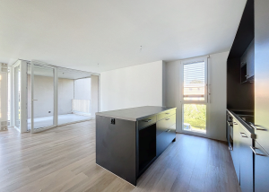 3.5 pièces avec grand balcon - Aigle 21