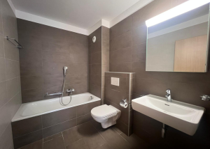 Appartement 3.5 pièces au rez avec grande terrasse