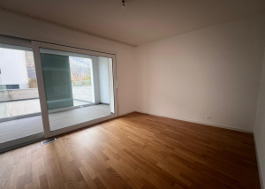 Appartement 3.5 pièces au rez avec grande terrasse