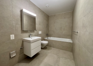 À louer - Appartements neufs de 4.5 pièces avec terrasse plein sud