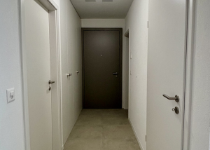 À louer - Appartements neufs de 4.5 pièces avec terrasse plein sud